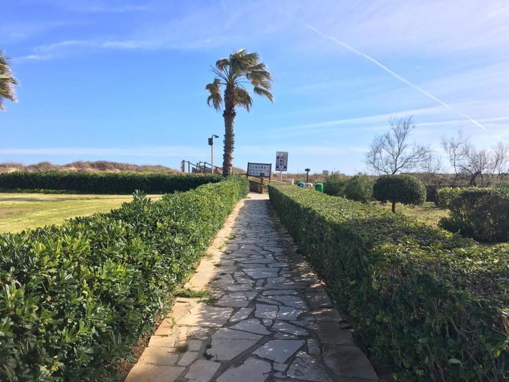 Apartamento A 100 Metros De La Playa Con Grande Terraza Y Vistas Al Mar Daimús Exterior foto