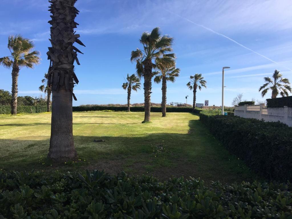 Apartamento A 100 Metros De La Playa Con Grande Terraza Y Vistas Al Mar Daimús Exterior foto